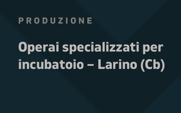 GV_Operai specializzati Larino