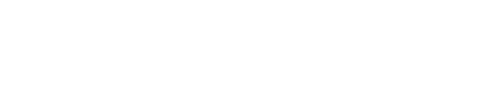 logo fondazione