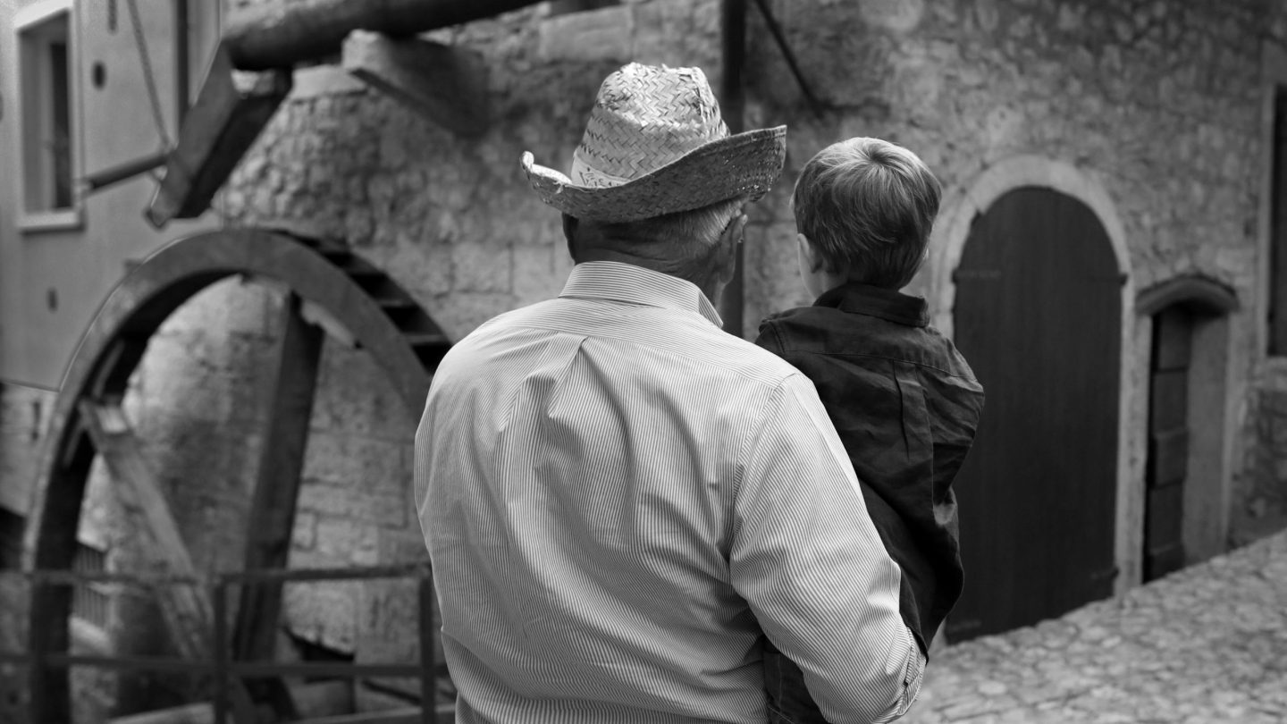 premio laurea fondazione apollinare cesira veronesi